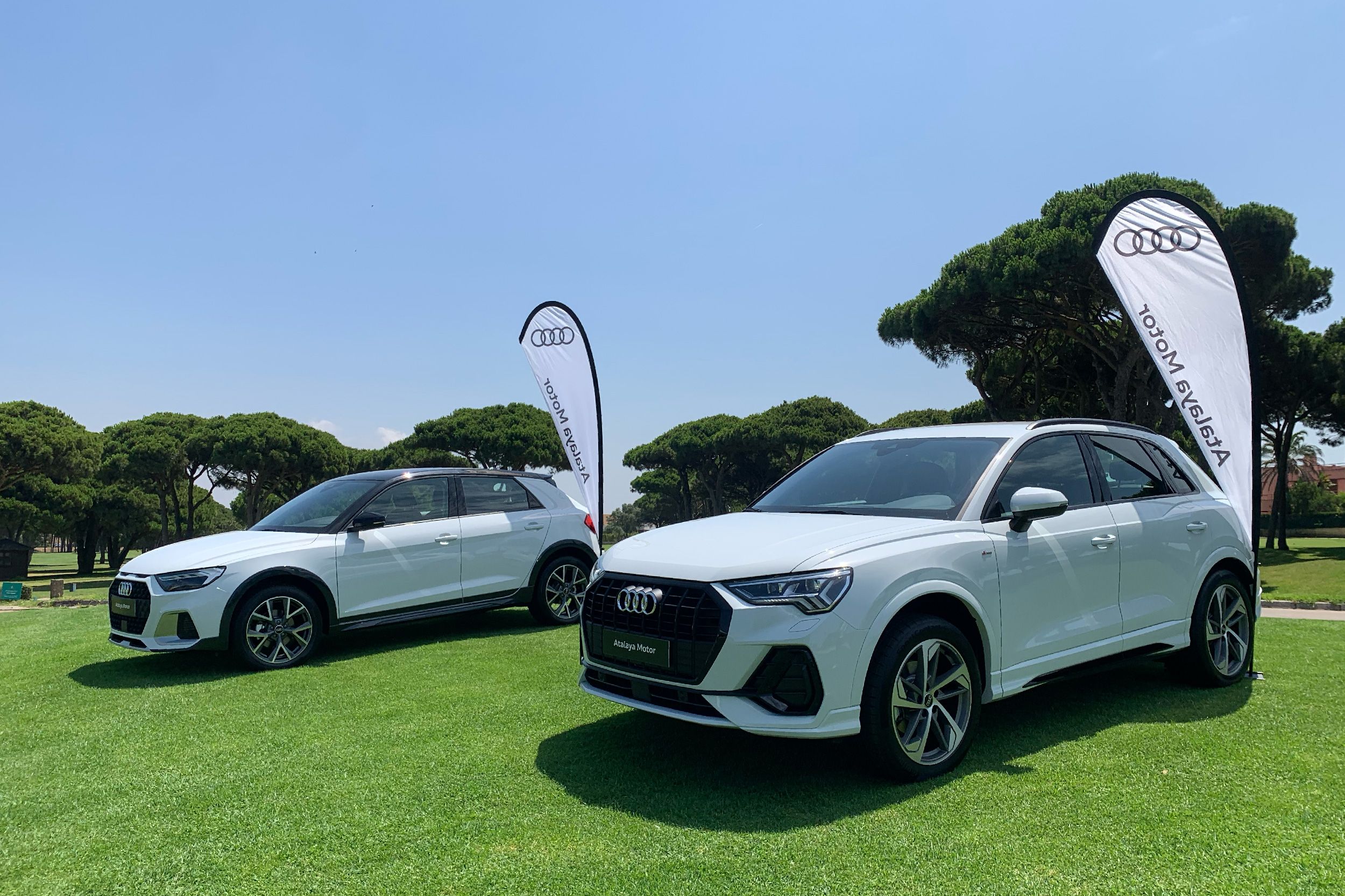 NOVO SANCTI PETRI atalaya motor
